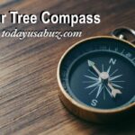 Dollar Tree Compass
