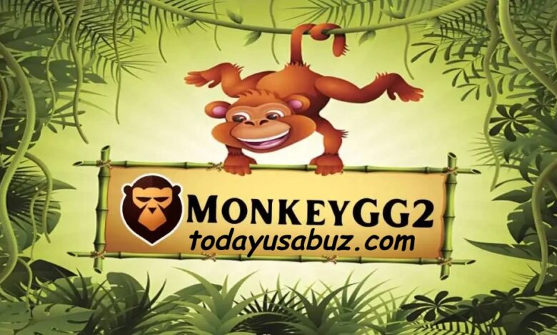 Monkeygg2